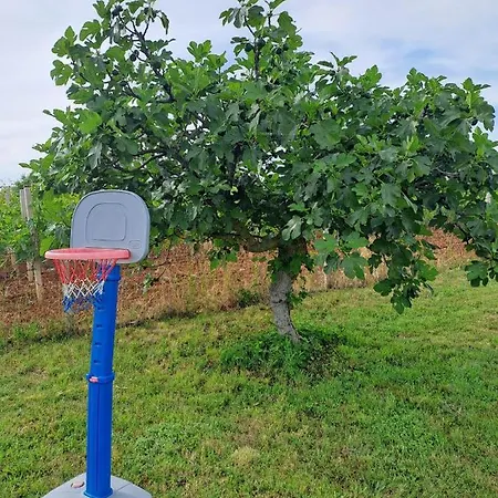Semesterbostad Kuca Za Odmor Neli